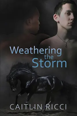 Capear la tormenta: Volumen 1 - Weathering the Storm: Volume 1