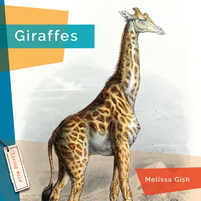 Jirafas - Giraffes