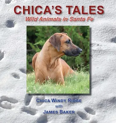 Cuentos de Chica: Animales salvajes en Santa Fe - Chica's Tales: Wild Animals in Santa Fe