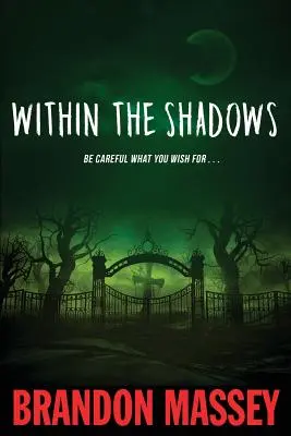 Entre sombras - Within the Shadows