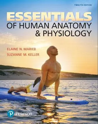 Fundamentos de Anatomía y Fisiología Humanas - Essentials of Human Anatomy & Physiology