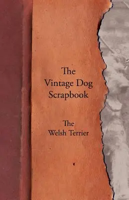 El álbum de recortes de perros de época - El Terrier Galés - The Vintage Dog Scrapbook - The Welsh Terrier
