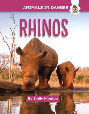 Rinocerontes - Rhinos