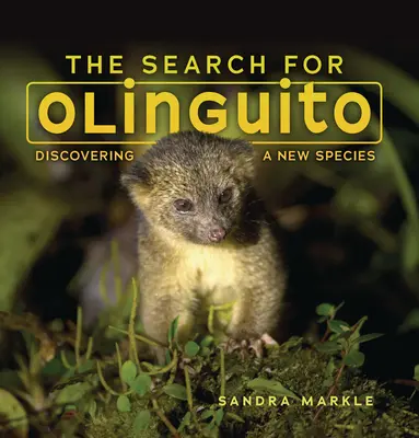 En busca de Olinguito: El descubrimiento de una nueva especie - The Search for Olinguito: Discovering a New Species