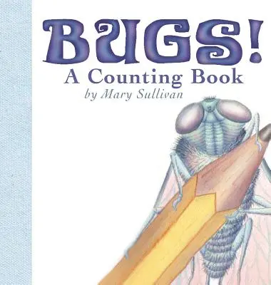 La vida de Catherine McAuley - Bugs! a Counting Book