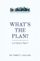 Cuál es el plan - What's the Plan