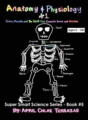 Anatomía y Fisiología Parte 1: Huesos, Músculos y las Cosas que Conectan Huesos y Músculos - Anatomy & Physiology Part 1: Bones, Muscles, and the Stuff That Connects Bones and Muscles