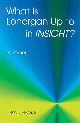 ¿Qué hace Lonergan en Insight? Un manual - What Is Lonergan Up to in Insight?: A Primer
