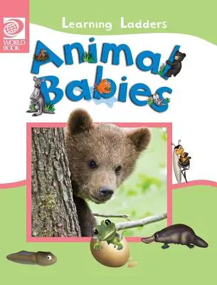 Bebés animales - Animal Babies