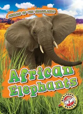 Elefantes africanos - African Elephants