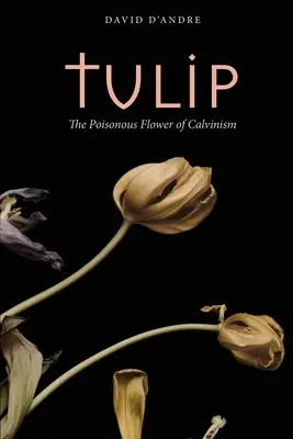 Tulip: La flor venenosa del calvinismo - Tulip: The Poisonous Flower of Calvinism