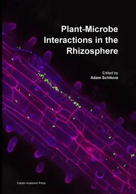 Interacciones planta-microbio en la rizosfera - Plant-Microbe Interactions in the Rhizosphere