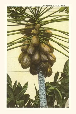 Diario Vintage Papayo, Florida - Vintage Journal Papaya Tree, Florida
