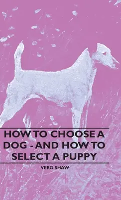 Cómo elegir un perro y cómo seleccionar un cachorro - How To Choose A Dog - And How To Select A Puppy