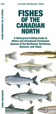 Peces del norte canadiense: Guía plegable impermeable de las especies de agua dulce autóctonas e introducidas de los Territorios del Noroeste, Nunavut y Yukón - Fishes of the Canadian North: A Waterproof Folding Guide to Native and Introduced Freshwater Species of the Northwest Territories, Nunavut and Yukon