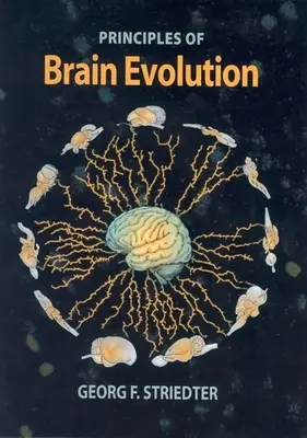 Principios de la evolución del cerebro - Principles of Brain Evolution