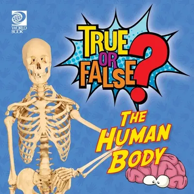¿Verdadero o falso? El cuerpo humano - True or False? The Human Body