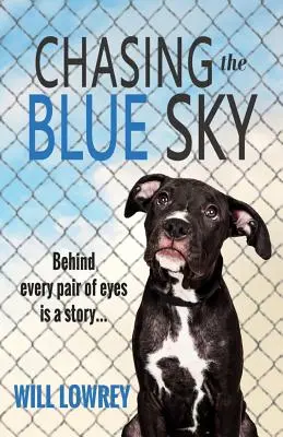 Persiguiendo el cielo azul - Chasing the Blue Sky