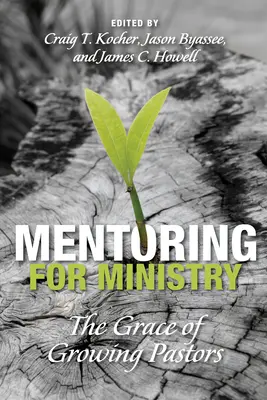 Mentoring para el Ministerio - Mentoring for Ministry