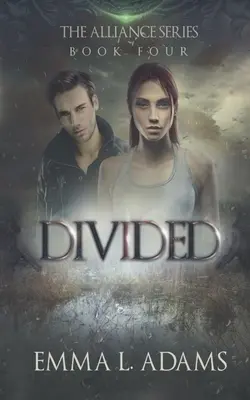 Dividido - Divided