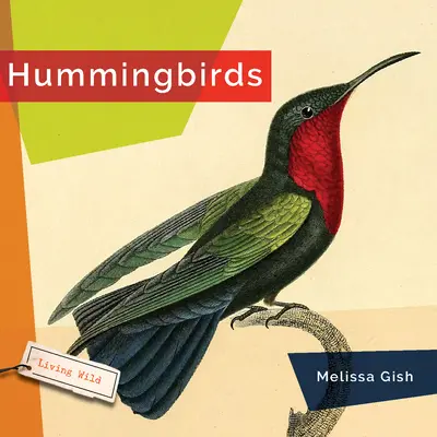 Colibríes - Hummingbirds