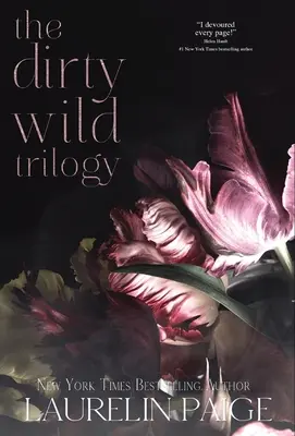 Trilogía Dirty Wild - Dirty Wild Trilogy