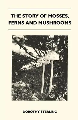 La historia de los musgos, los helechos y las setas - The Story Of Mosses, Ferns And Mushrooms