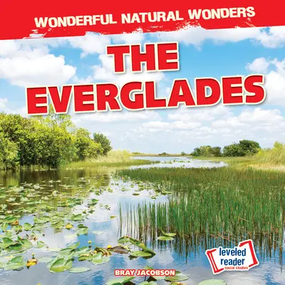 Los Everglades - The Everglades