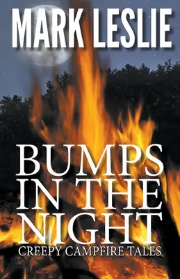 Baches en la noche - Bumps in the Night