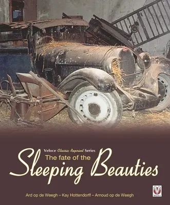 El destino de las bellas durmientes - The Fate of the Sleeping Beauties