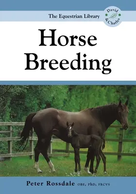 Cría de caballos - Horse Breeding