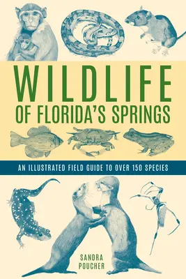 La fauna de los manantiales de Florida: Guía de campo ilustrada de más de 150 especies - Wildlife of Florida's Springs: An Illustrated Field Guide to Over 150 Species