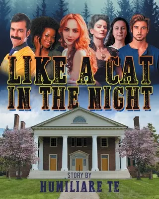 Como un gato en la noche - Like A Cat In The Night