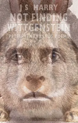 No encontrar a Wittgenstein - Not Finding Wittgenstein