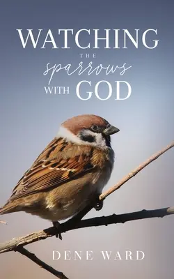 Observar los gorriones con Dios - Watching the Sparrows with God