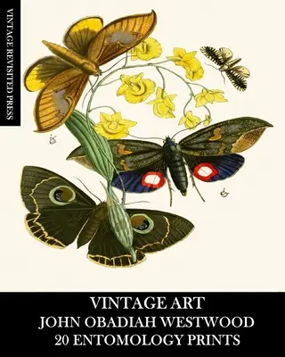 Arte Vintage: John Obadiah Westwood 20 Entomology Prints: Efemérides de Fauna y Flora para enmarcar, collage y decoupage - Vintage Art: John Obadiah Westwood 20 Entomology Prints: Fauna and Flora Ephemera for Framing, Collage and Decoupage