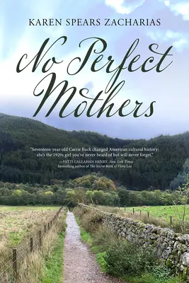 No hay madres perfectas - No Perfect Mothers