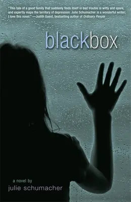 Caja negra - Black Box