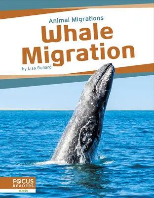 Migración de las ballenas - Whale Migration