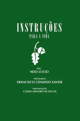 Instruções para a Vida - Instrues para a Vida