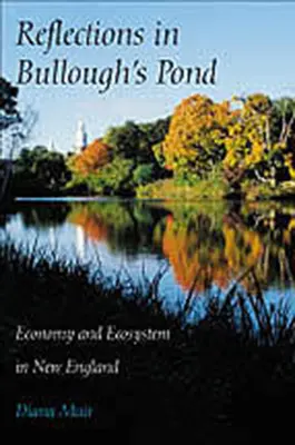 Reflexiones en Bullough's Pond: Economía y ecosistema en Nueva Inglaterra - Reflections in Bullough's Pond: Economy and Ecosystem in New England