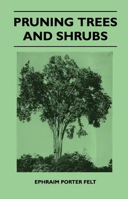 Poda de árboles y arbustos - Pruning Trees And Shrubs