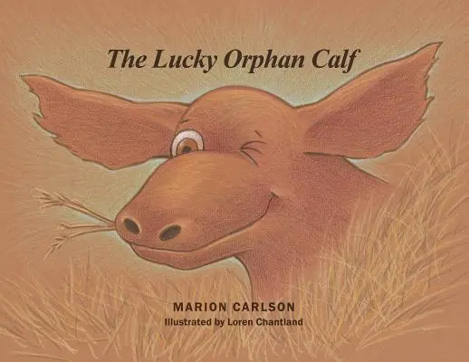 El afortunado ternero huérfano - The Lucky Orphan Calf