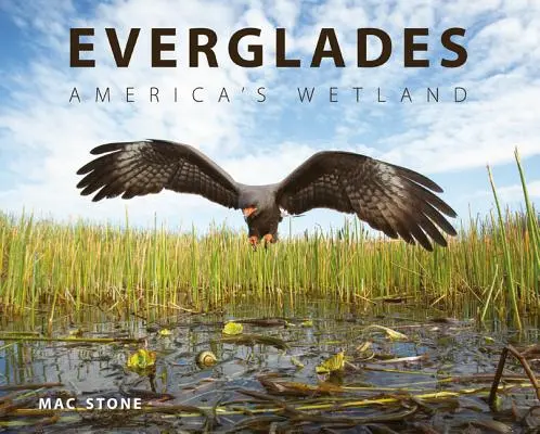 Everglades: El humedal de América - Everglades: America's Wetland