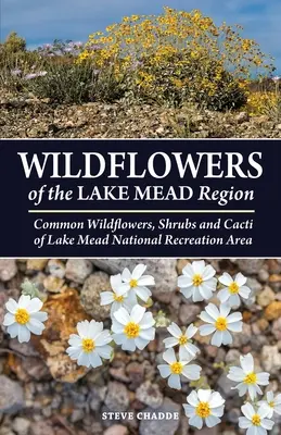 Flores silvestres de la región del lago Mead - Wildflowers of the Lake Mead Region