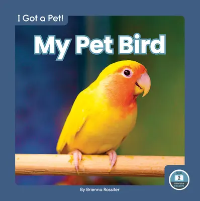 Mi pájaro - My Pet Bird