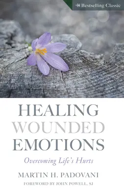 Sanar las emociones heridas: Superar las heridas de la vida - Healing Wounded Emotions: Overcoming Life's Hurts