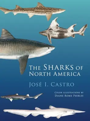 Tiburones de Norteamérica - Sharks of North America