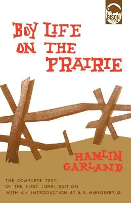 La vida de los niños en la pradera - Boy Life on the Prairie