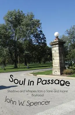 Alma en tránsito: Sombras y susurros de una infancia loca y desquiciada - Soul in Passage: Shadows and Whispers from a Sane and Insane Boyhood